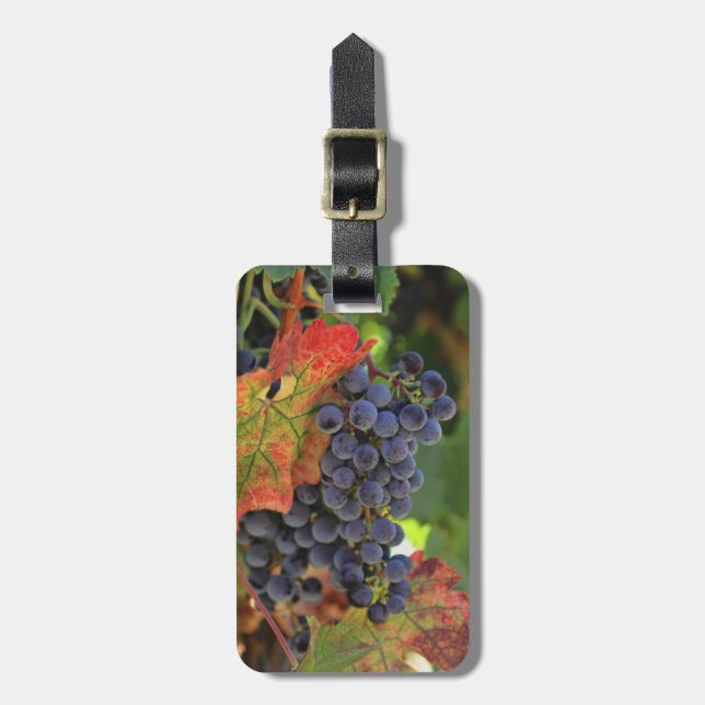 Wine Vineyard Luggage Tags (Front Vertical)