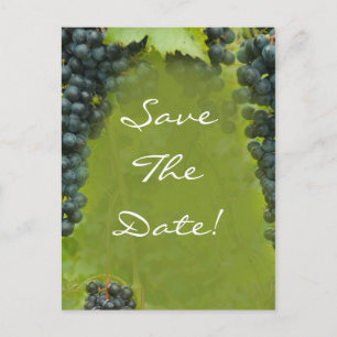 Wine Vineyard Theme Wedding Save The Date Announcement Postcard