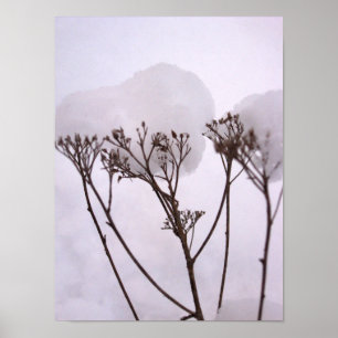 Winetr, Plants in the snow Value Poster Paper