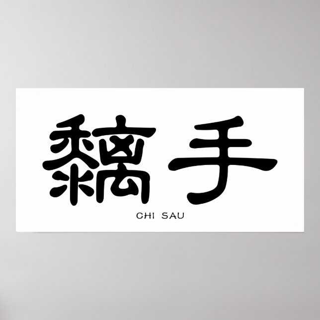 Wing Chun Chi Sau Chinese Calligraphy Poster (Front)