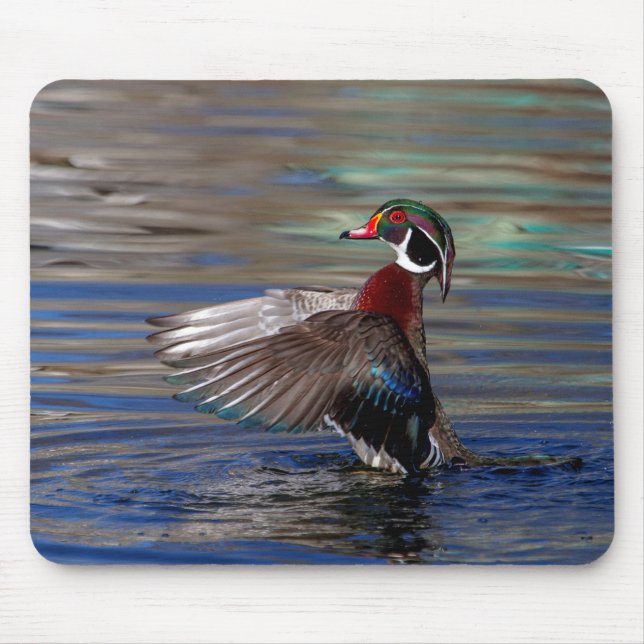 Wing Flapping Wood Duck Mouse Pad (Front)
