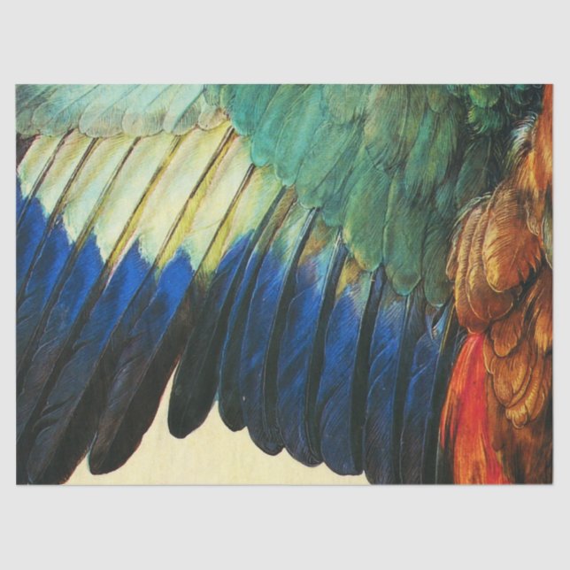 WING OF AN EUROPEAN ROLLER  Warercolor ,Durer Tissue Paper (Front)