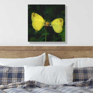 Wing Of Change Butterfly Premium Stretched Canvas  Print