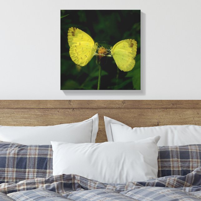 Wing Of Change Butterfly Premium Stretched Canvas  Print (Insitu(Bedroom))