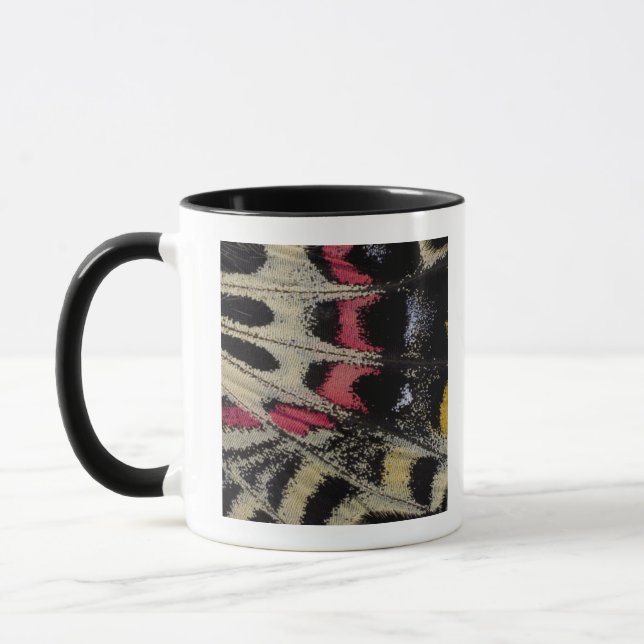 Wing underside close-up Bhutanitis mansfieldi Mug (Left)