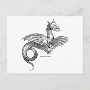 Winged Dragon or Wyvern Postcard