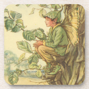 Winged Elm Fairy Sitting in a Tree Coaster