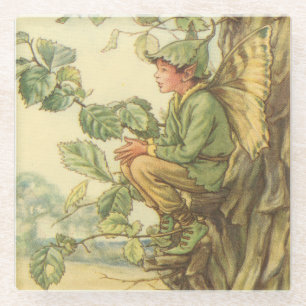 Winged Elm Fairy Sitting in a Tree Glass Coaster