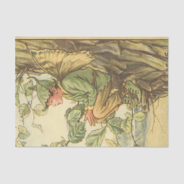 Winged Elm Fairy Sitting in a Tree Tissue Paper (Front)