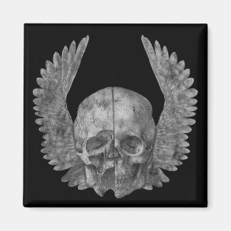Winged Skull Magnet