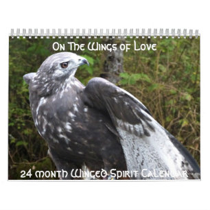 Winged Spirts 2013 24 month calender Calendar
