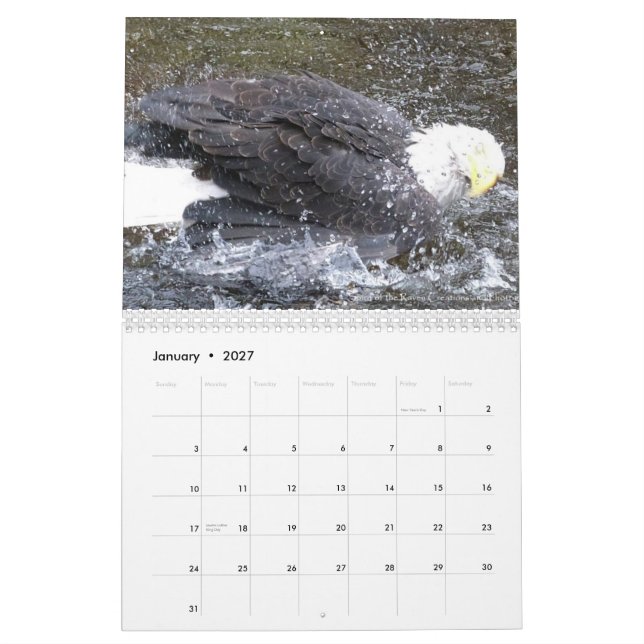 Winged Spirts 2013 24 month calender Calendar (Jan 2027)