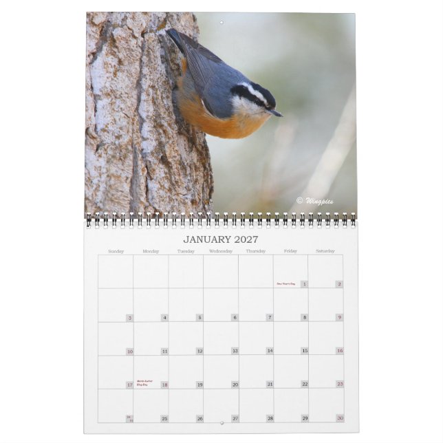 Wingpics 2012 Song Birds Calendar (Jan 2027)