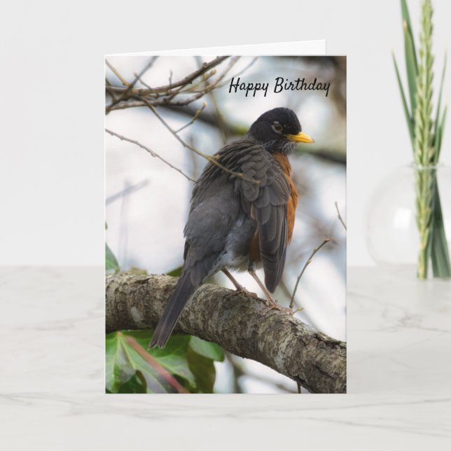 Wings American Robin Birthday Greeting Card (Front)