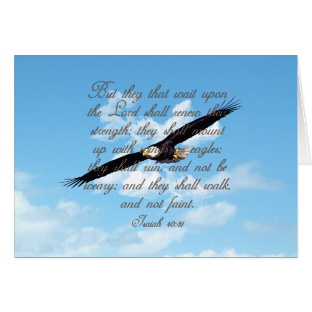 Wings as Eagles, Isaiah 40:31 Christian Bible (Front Horizontal)