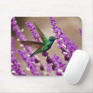 Wings of Faith Sparkling Violet-ears Hummingbird Mouse Pad