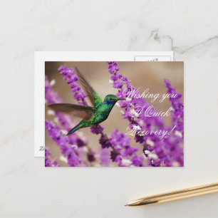 Wings of Faith Sparkling Violet-ears Hummingbird Postcard