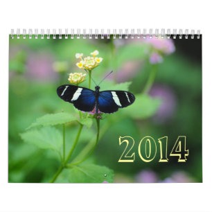 Wings of Wonderment Butterfly Calendar