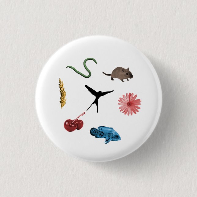 Wingspan All Food Tokens Button (Front)