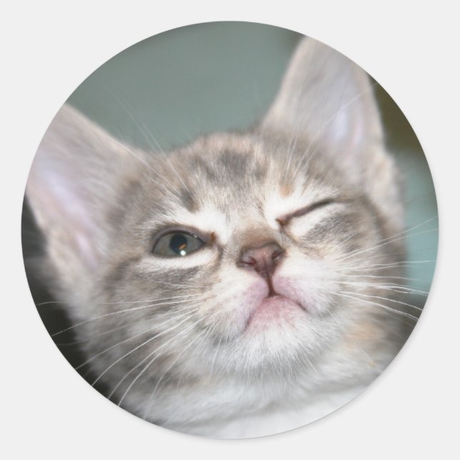 *wink* classic round sticker (Front)