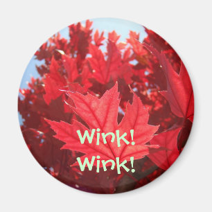Wink! Wink! magnet gift Red Autumn Leaves