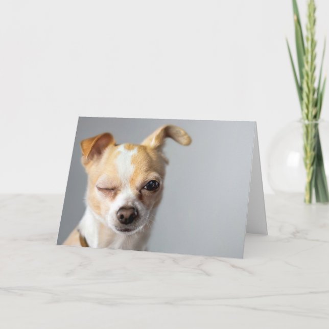 Winking Chihuahua Greeting Card (Front)