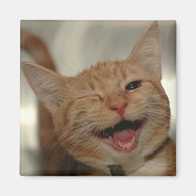 Winking Happy Ginger Cat Magnet (Front)