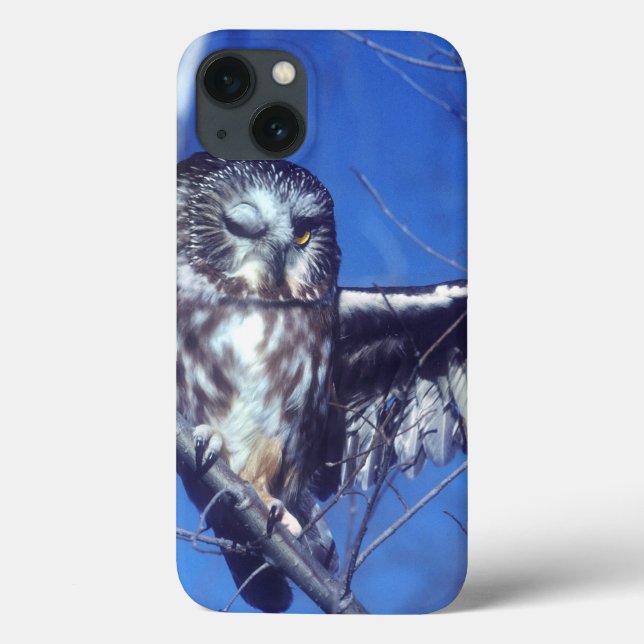 Winking owl Case-Mate iPhone case (Back)