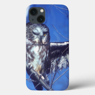 Winking owl iPhone 13 case