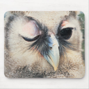 Winking Owl Mouse Pad