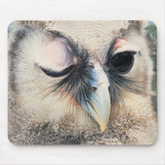 Winking Owl Mouse Pad (Front)