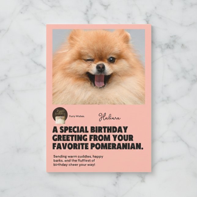 Winking Pomeranian Birthday Card (Send a wink and a smile today.)