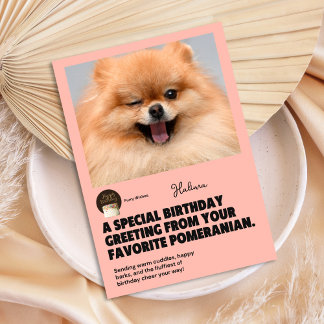 Winking Pomeranian Birthday Card