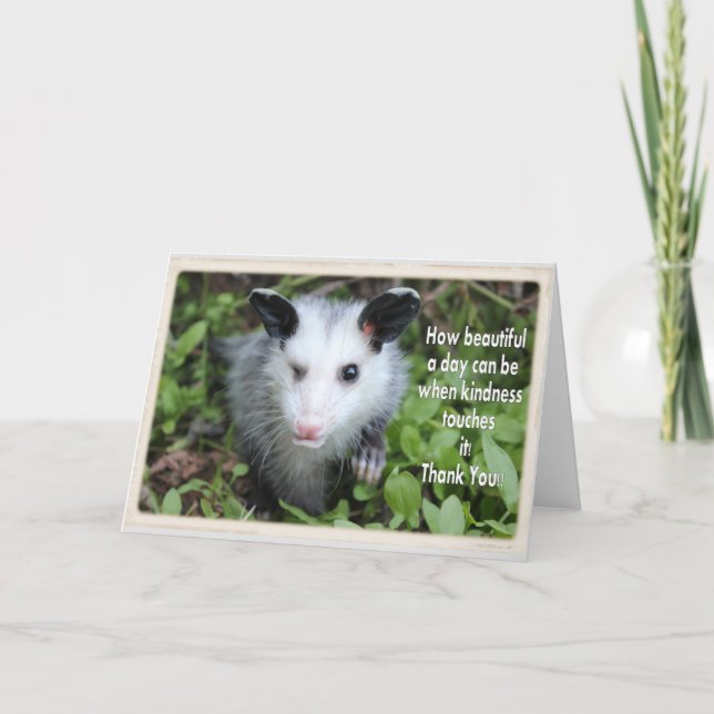 Winking possum thank you card. card (Front)
