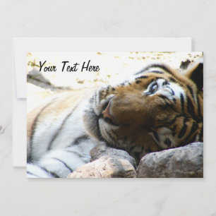 Winking Tiger Invitation