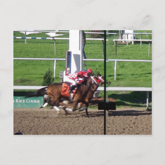 Winner By A Nose Postcard
