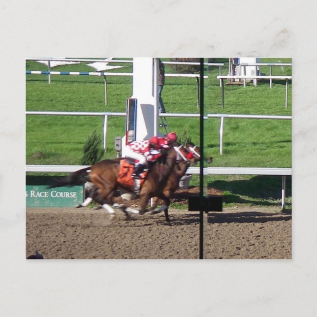 Winner By A Nose Postcard (Front)