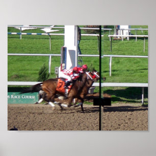 Winner By A Nose Poster