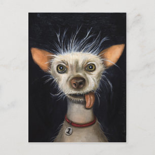 Winner of the Ugly Dog Contest 2011 Postcard