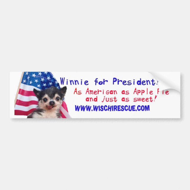 Winnie for President (Bumper Sticker) Bumper Sticker (Front)