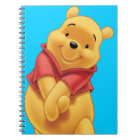 Winnie the Pooh 13
