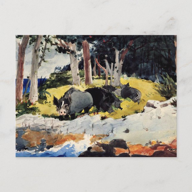 Winslow Homer - Bermuda Settlers Postcard (Front)