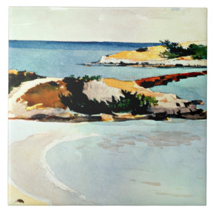 Winslow Homer - Gallows Island Tile