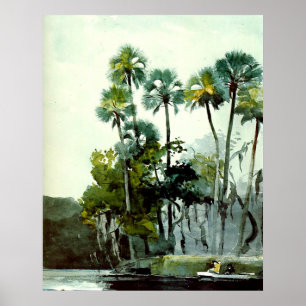 Winslow Homer - Homosassa River Poster