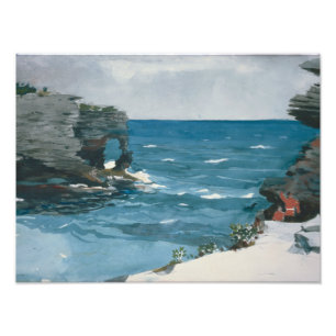 Winslow Homer - Rocky Shore, Bermuda Photo Print