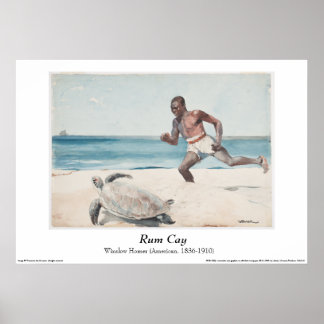 Winslow Homer - "Rum Cay" Poster