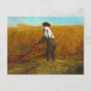 Winslow Homer - Veteran In A New Field Postcard