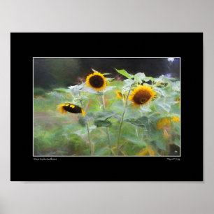 Winsor Garden Sunflowers Poster