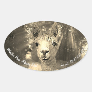 Winston Park Alpaca Stud Oval Sticker