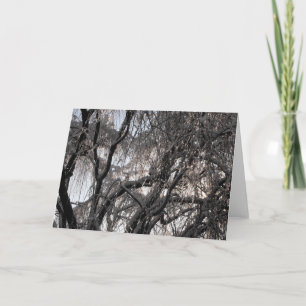 Winter ~ 15 holiday card